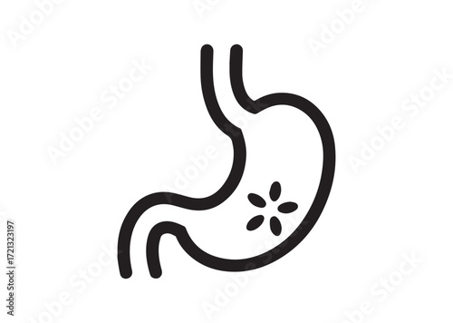 Stomach line art Vector