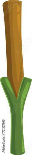 Sugarcane stem growing from green sprout, plant used for sugar production