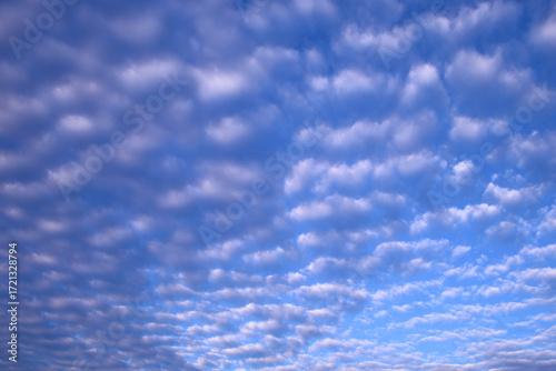 秋の空