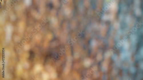This is a highly blurred, out-of-focus abstract image of a textured surface, likely a tree trunk. 