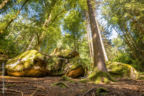 Megalith Steine im Höllbachtal im Naturschutzgebiet bei dem Rundwanderweg in Rettenbach bei Falkenstein in Bayern, Deutschland