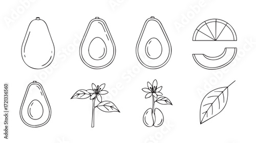 Hand drawn avocado elements collection featuring whole fruit halves and blooming branches for food graphics silhouette
