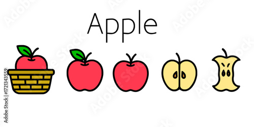 Illustration of apple life cycle stages. Fresh fruit, half eaten apple, and core. Healthy eating concept.