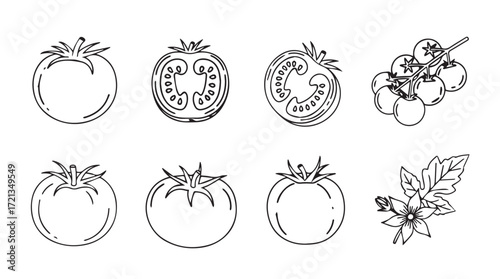 Hand drawn tomato illustrations collection fresh ripe vegetables sketch style silhouette