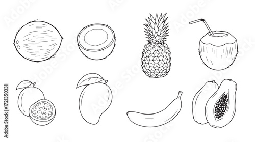 Hand drawn tropical fruits sketch collection fresh organic healthy food icons variety set silhouette