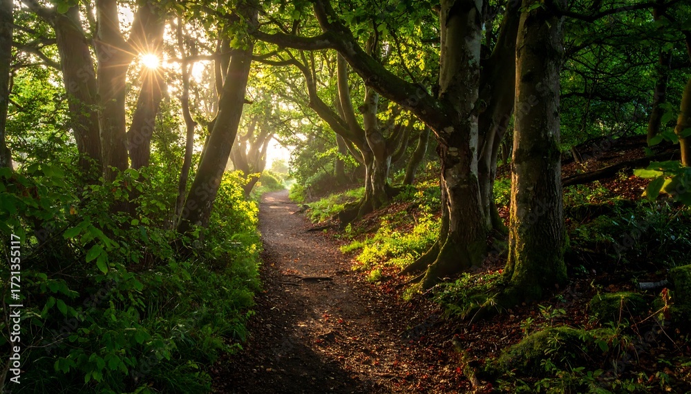 Fototapeta premium Sunlit path through a lush forest (1)