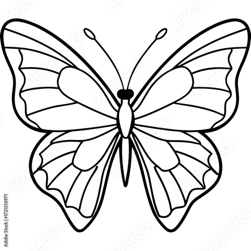 Minimalist Butterfly Outline Vector