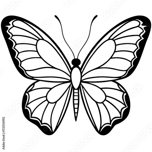 Minimalist Butterfly Outline Vector
