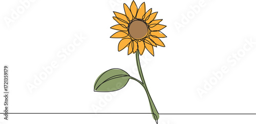 continuous single line drawing of sunflower, line art vector illustration