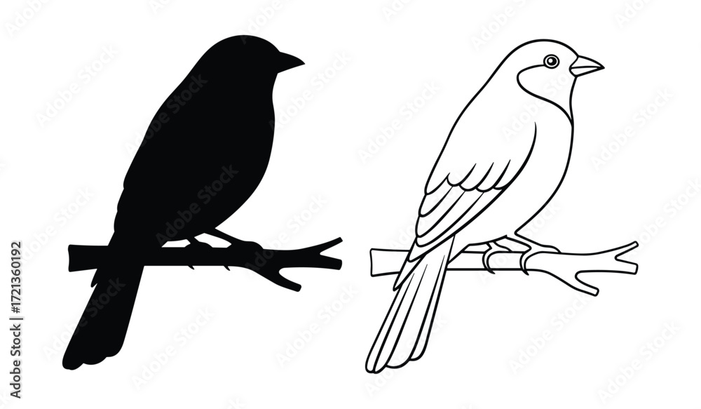Fototapeta premium Black silhouette and outline of a bird perched on a branch black and white