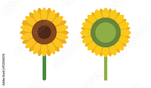 Two stylized sunflowers with yellow petals and green stems on white background nature