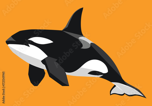 Illustration of a killer whale with black and white markings, swimming on an orange background.