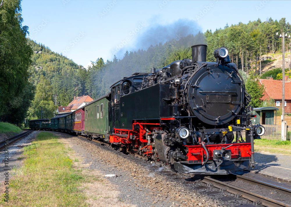 Fototapeta premium Zittauer Schmalspurbahn (Sachsen)
