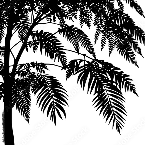 Silhouette tree vector design of tropical palm fronds and leafy branches