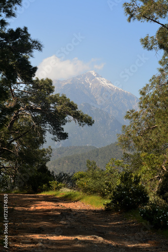 Landscape with a road and a mountain in the background