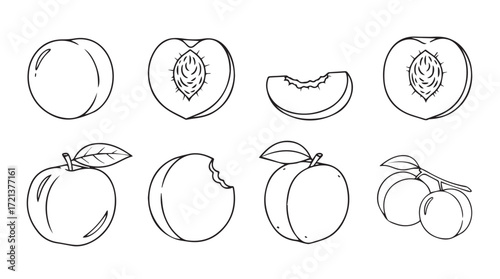 Whimsical hand-drawn sketch collection of fresh peaches and slices for artistic design silhouette