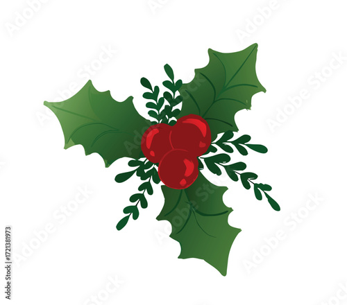 holly leaves and berries