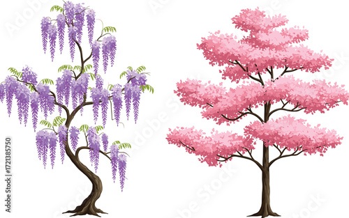 Purple wisteria flowering tree, pink cherry blossom tree, realistic botanical illustration, spring garden nature scene, ornamental plant species comparison, detailed floral texture