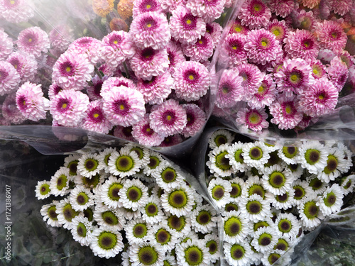 Beauitful Flowers pattern for nature background.