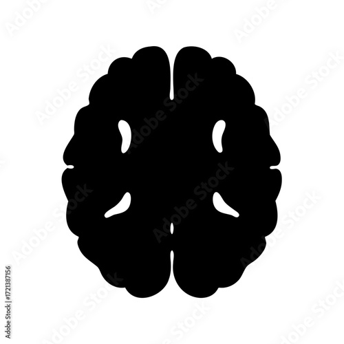 Top view of a human brain silhouette, anatomical illustration for education