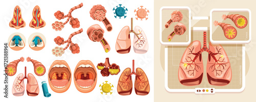 Flat Compositions for Lung Health and Medical Education