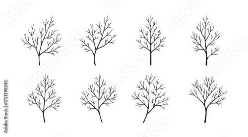 Collection of delicate bare tree branch silhouettes in a simple line art style