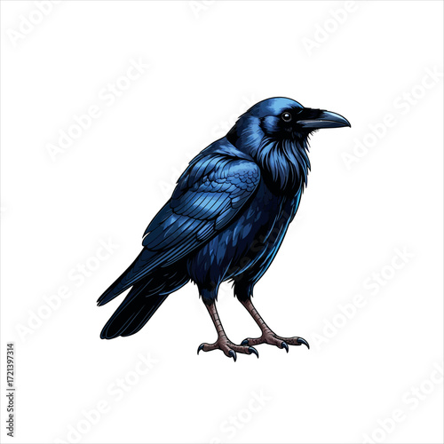 Illustration of a majestic blue raven standing tall