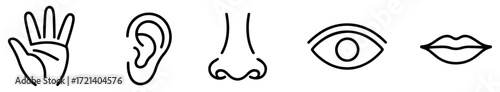 five human senses outline icon set