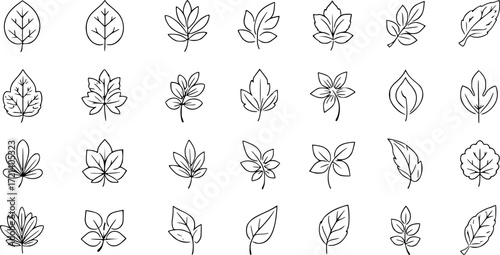 Set of simple leaf line icons.