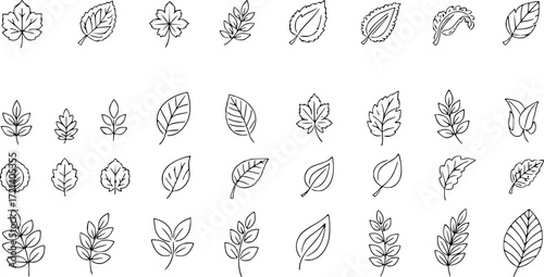 Set of simple leaf line icons.