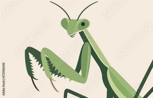 Insect vector graphics