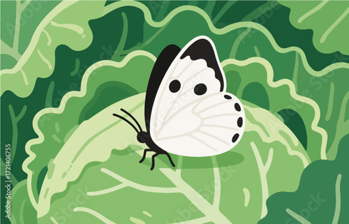 Insect vector graphics