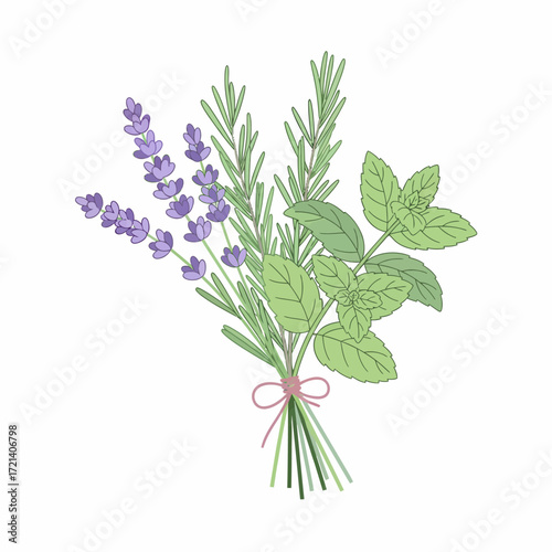 Fresh herbs bouquet of lavender rosemary mint.