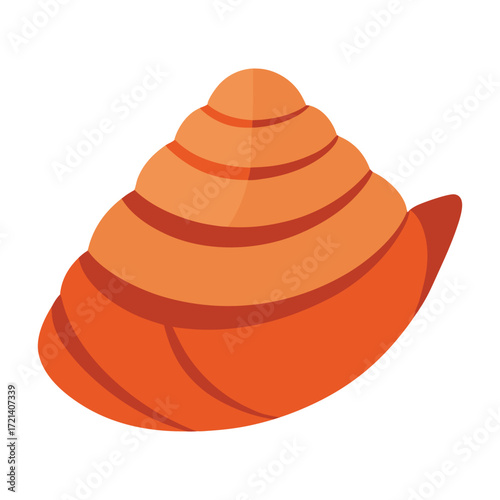 vector illustration of a polished turban shell