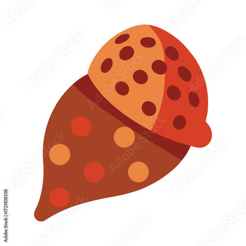 vector illustration of a spotted turban shell on white background