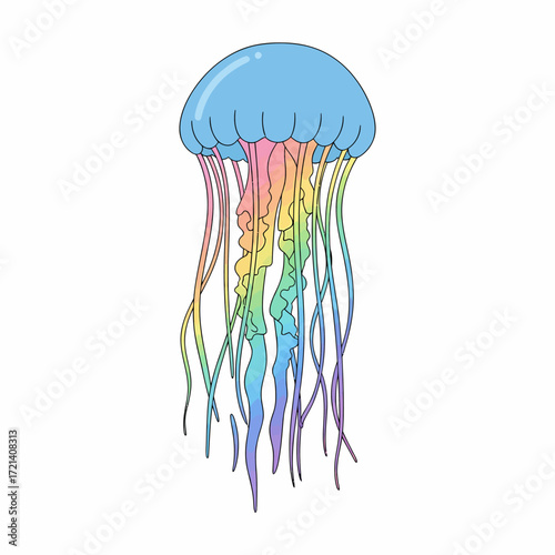 Colorful jellyfish illustration with vibrant rainbow tentacles and blue head.