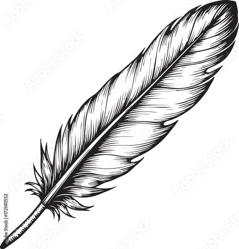 Intricate Feather Illustration: A beautifully detailed, monochrome illustration of a single, elegant feather, capturing its delicate structure and graceful form with fine lines and shading.