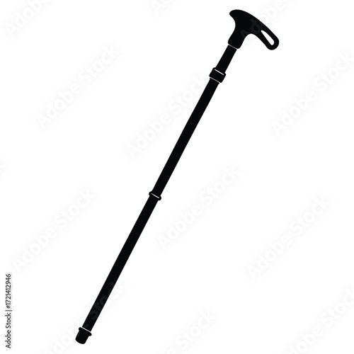 Park Ranger isolated hiking stick on white background