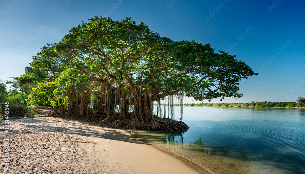Obraz premium Serene Banyan Tree On A Riverbank Casts A Long Shadow Across The Sandy Shore