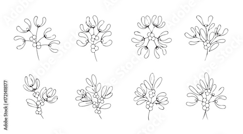 Collection of delicate floral and leafy ornate decorative elements silhouette