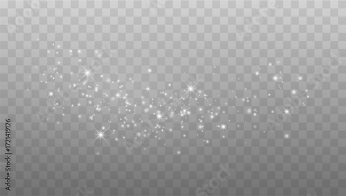 Shine Sparkles and Lights. Glowing Confetti Isolated