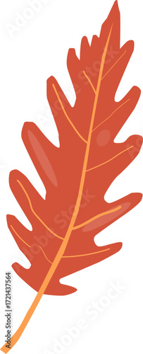 Red autumn leaf close up. Vector