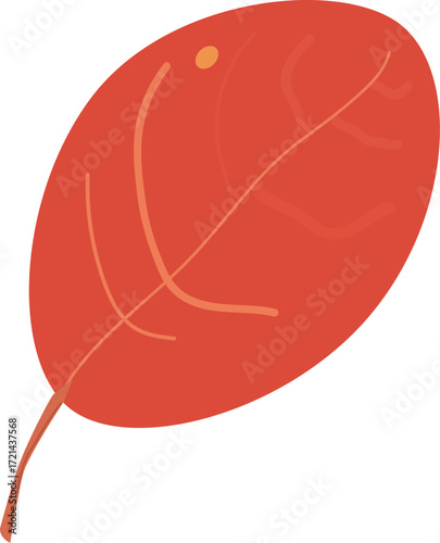 Red autumn leaf close up. Vector