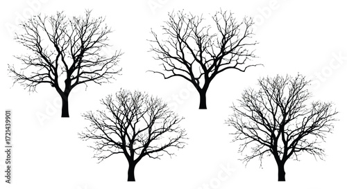 Vector illustration of silhouette of bare trees in winter season