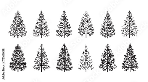 Collection of detailed pine tree silhouettes in a stylized artistic drawing