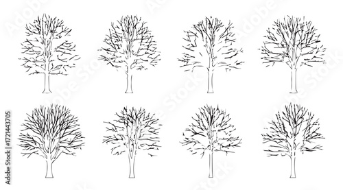 Collection of eight detailed line art tree silhouettes for design and illustration