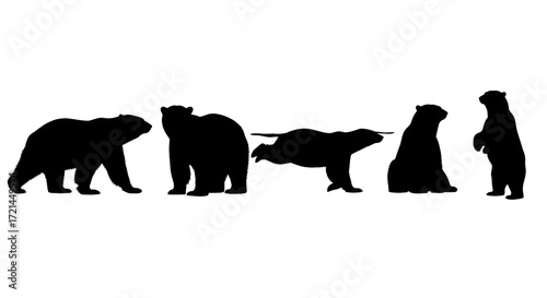 Silhouettes of bears in various poses isolated on white background