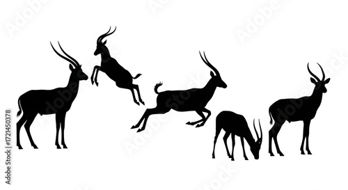 A group of antelope silhouettes isolated on white background are shown