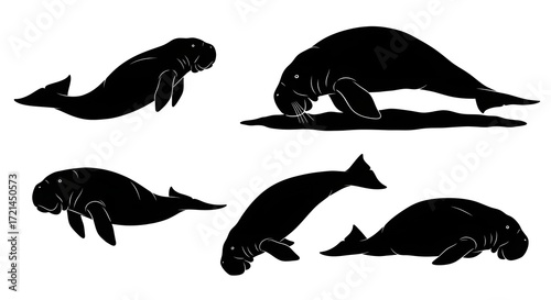 Cuadro en lienzo Silhouette of dugongs isolated on white background, swimming and feeding underwa