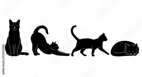 Silhouettes of a black cat in different poses isolated on white background